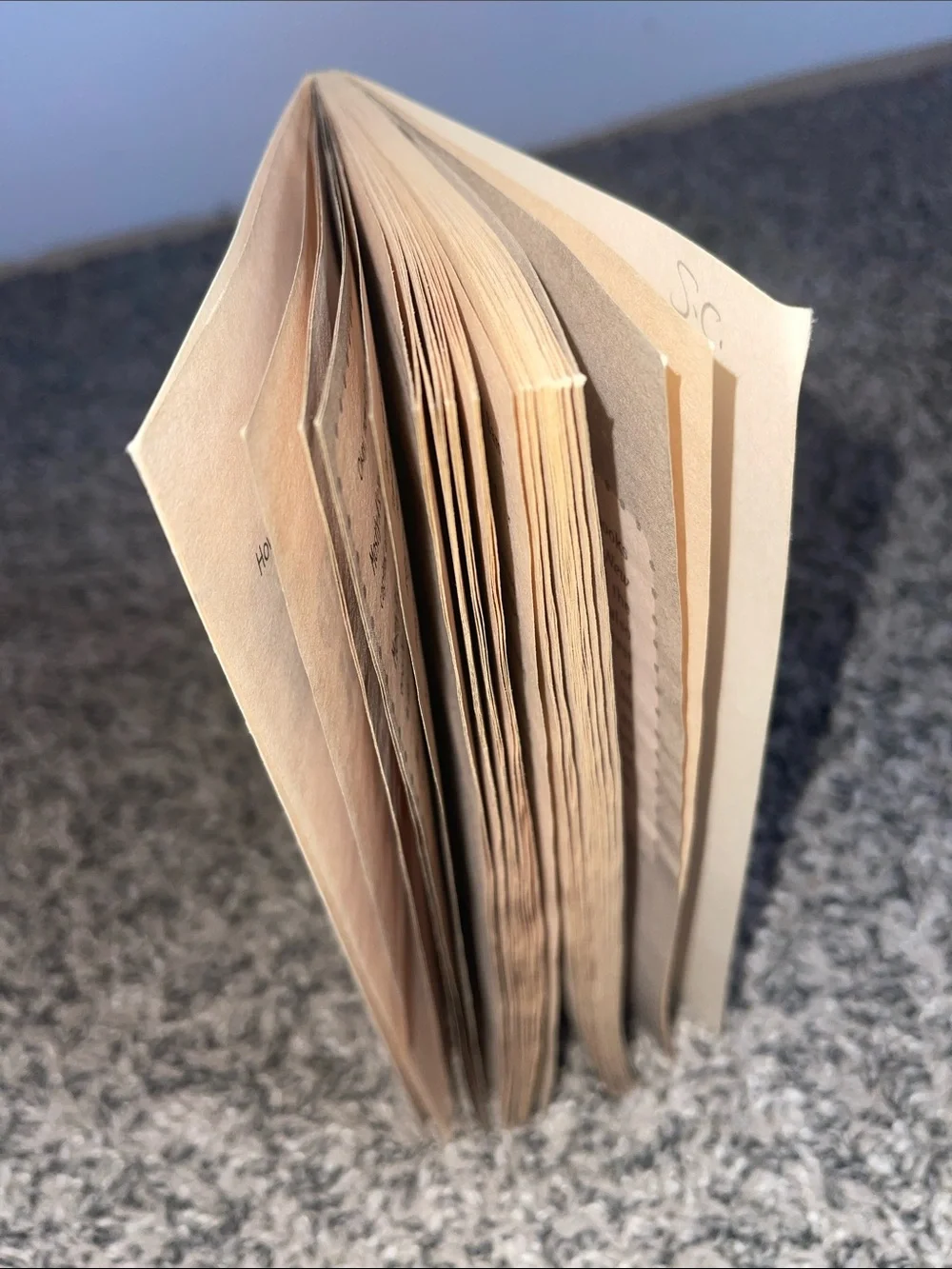 Scholastic book used